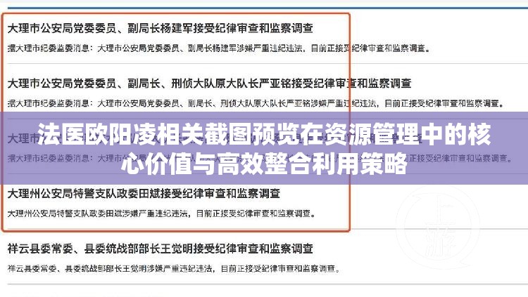 法医欧阳凌相关截图预览在资源管理中的核心价值与高效整合利用策略