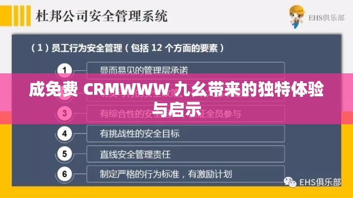 成免费 CRMWWW 九幺带来的独特体验与启示