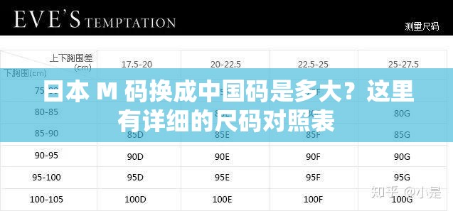 日本 M 码换成中国码是多大？这里有详细的尺码对照表