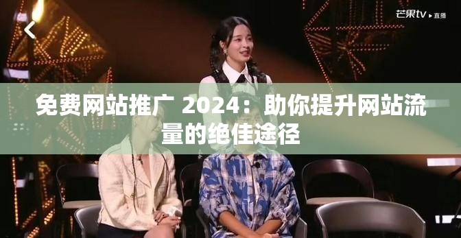 免费网站推广 2024：助你提升网站流量的绝佳途径