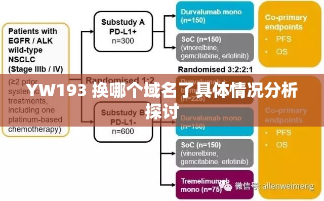 YW193 换哪个域名了具体情况分析探讨