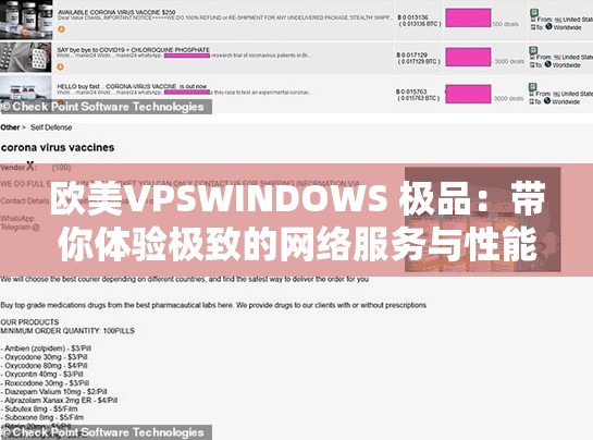 欧美VPSWINDOWS 极品：带你体验极致的网络服务与性能