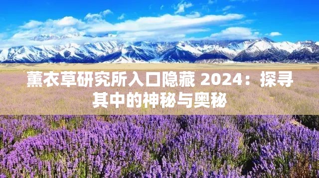 薰衣草研究所入口隐藏 2024：探寻其中的神秘与奥秘