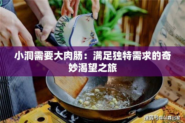 小洞需要大肉肠：满足独特需求的奇妙渴望之旅