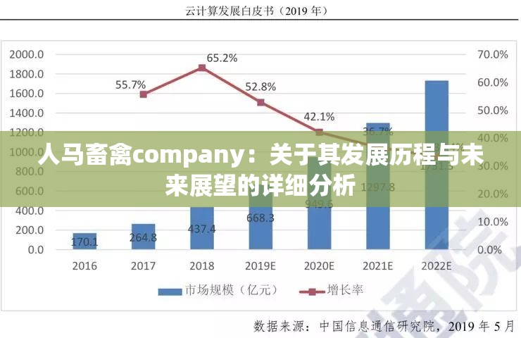 人马畜禽company：关于其发展历程与未来展望的详细分析