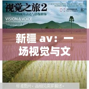 新疆 av：一场视觉与文化的交融之旅