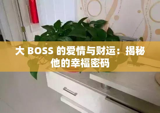 大 BOSS 的爱情与财运：揭秘他的幸福密码