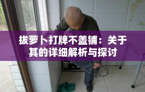 拔萝卜打牌不盖铺：关于其的详细解析与探讨