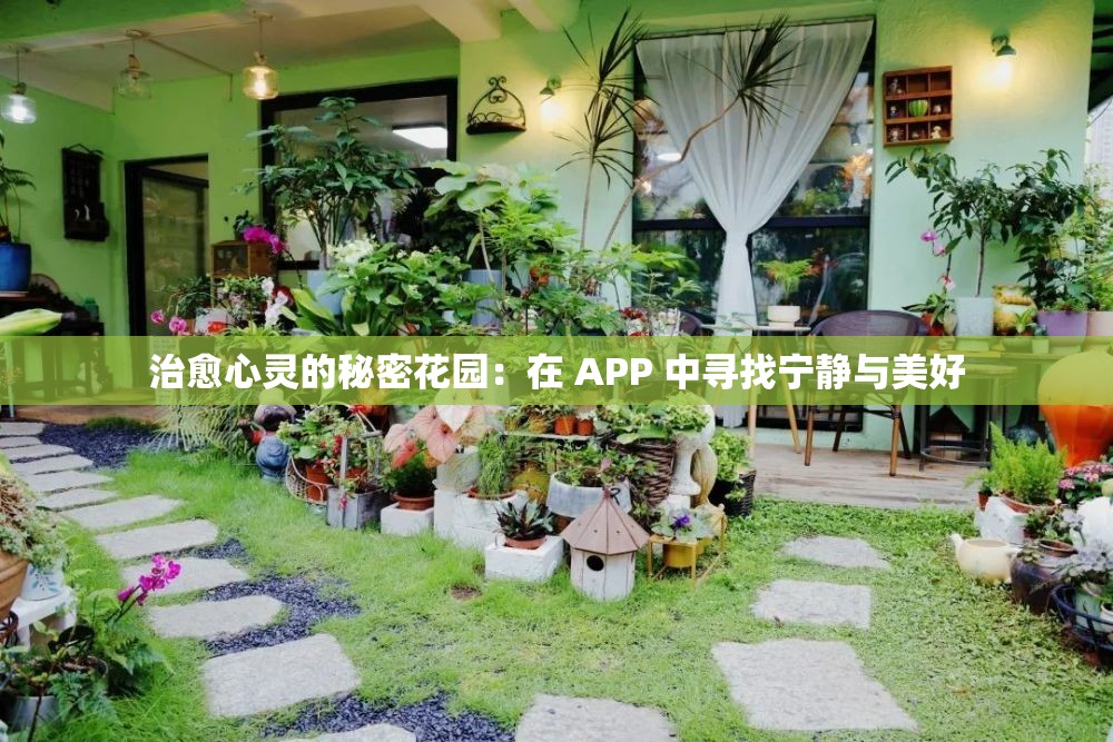 治愈心灵的秘密花园：在 APP 中寻找宁静与美好