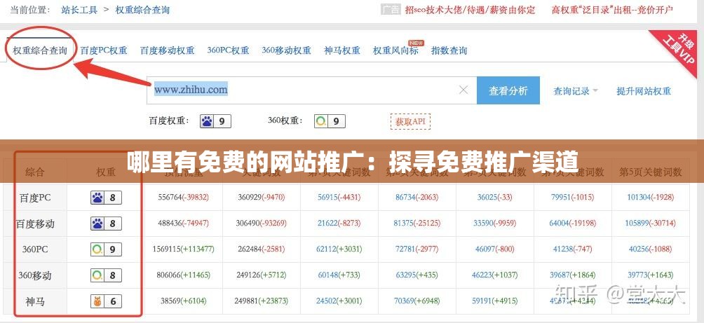 哪里有免费的网站推广：探寻免费推广渠道