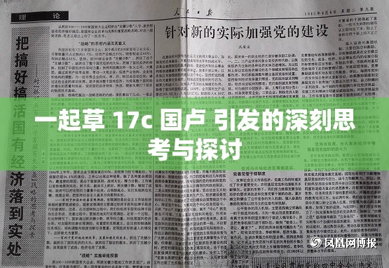 一起草 17c 国卢 引发的深刻思考与探讨