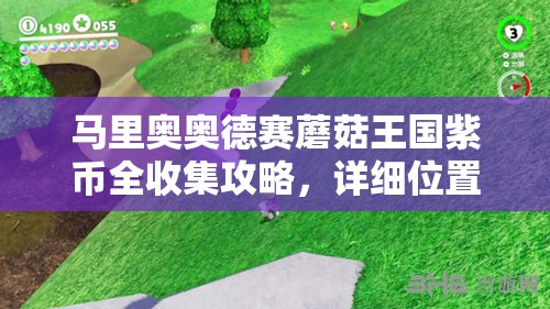 马里奥奥德赛蘑菇王国紫币全收集攻略，详细位置及高效收集方法