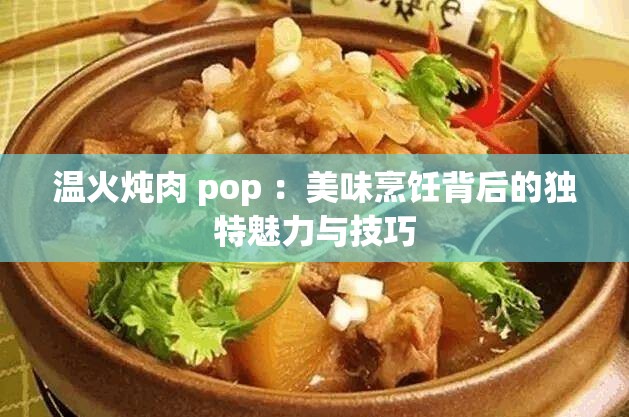 温火炖肉 pop ：美味烹饪背后的独特魅力与技巧