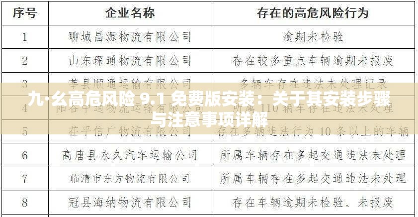 九·幺高危风险 9.1 免费版安装：关于其安装步骤与注意事项详解