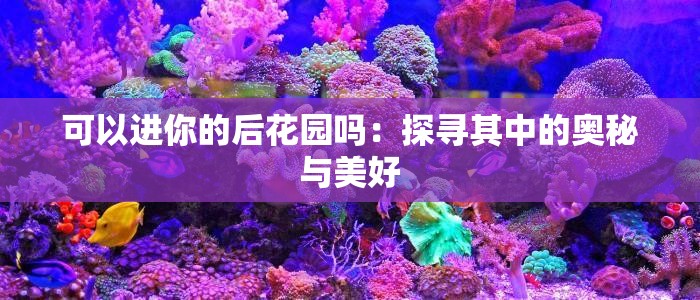 可以进你的后花园吗：探寻其中的奥秘与美好