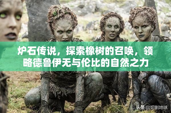 炉石传说，探索橡树的召唤，领略德鲁伊无与伦比的自然之力