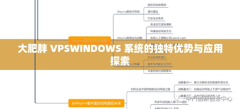 大肥胖 VPSWINDOWS 系统的独特优势与应用探索