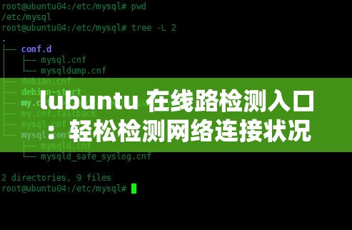 lubuntu 在线路检测入口：轻松检测网络连接状况