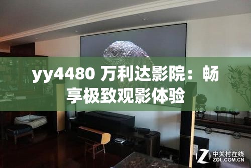 yy4480 万利达影院：畅享极致观影体验