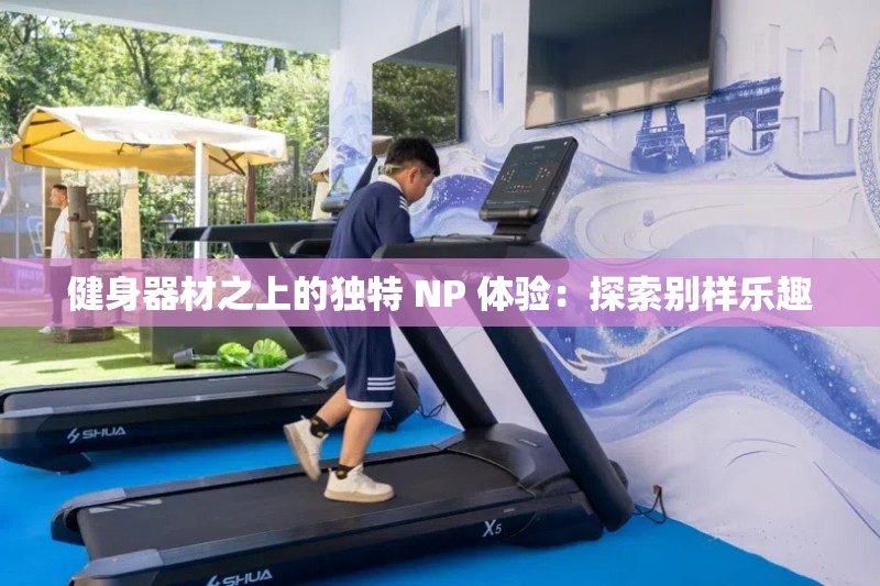 健身器材之上的独特 NP 体验：探索别样乐趣