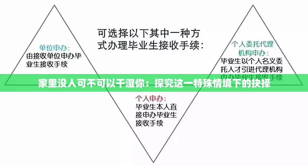 家里没人可不可以干湿你：探究这一特殊情境下的抉择