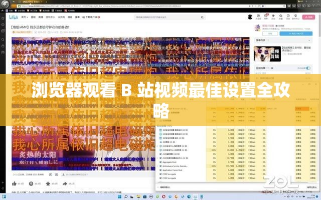 浏览器观看 B 站视频最佳设置全攻略