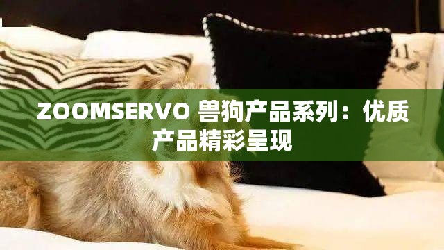 ZOOMSERVO 兽狗产品系列：优质产品精彩呈现