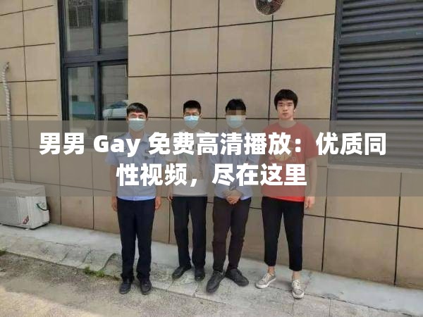 男男 Gay 免费高清播放：优质同性视频，尽在这里