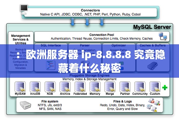 ：欧洲服务器 ip-8.8.8.8 究竟隐藏着什么秘密