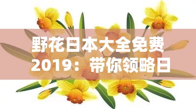 野花日本大全免费 2019：带你领略日本野花的独特魅力