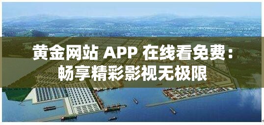 黄金网站 APP 在线看免费：畅享精彩影视无极限