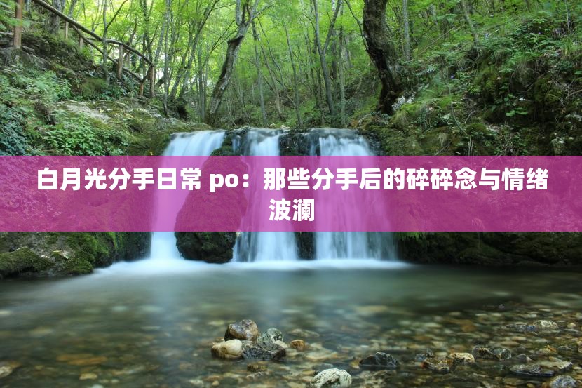 白月光分手日常 po：那些分手后的碎碎念与情绪波澜