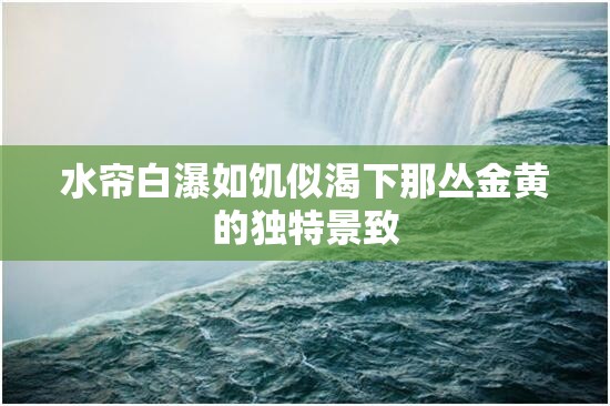 水帘白瀑如饥似渴下那丛金黄的独特景致