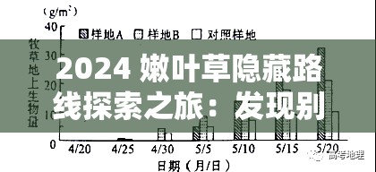 2024 嫩叶草隐藏路线探索之旅：发现别样精彩