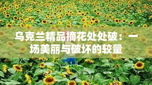 乌克兰精品摘花处处破：一场美丽与破坏的较量