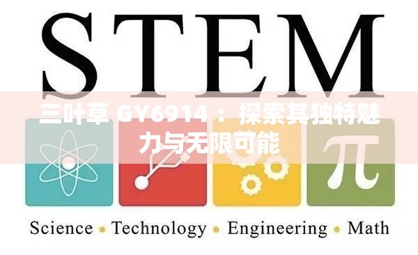 三叶草 GY6914 ：探索其独特魅力与无限可能