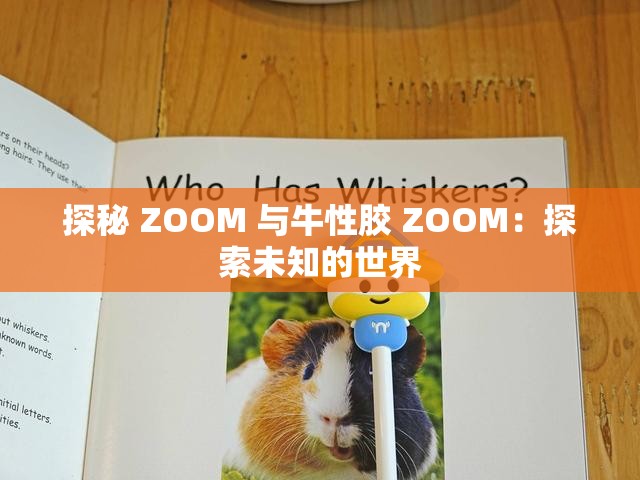 探秘 ZOOM 与牛性胶 ZOOM：探索未知的世界