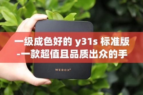 一级成色好的 y31s 标准版-一款超值且品质出众的手机