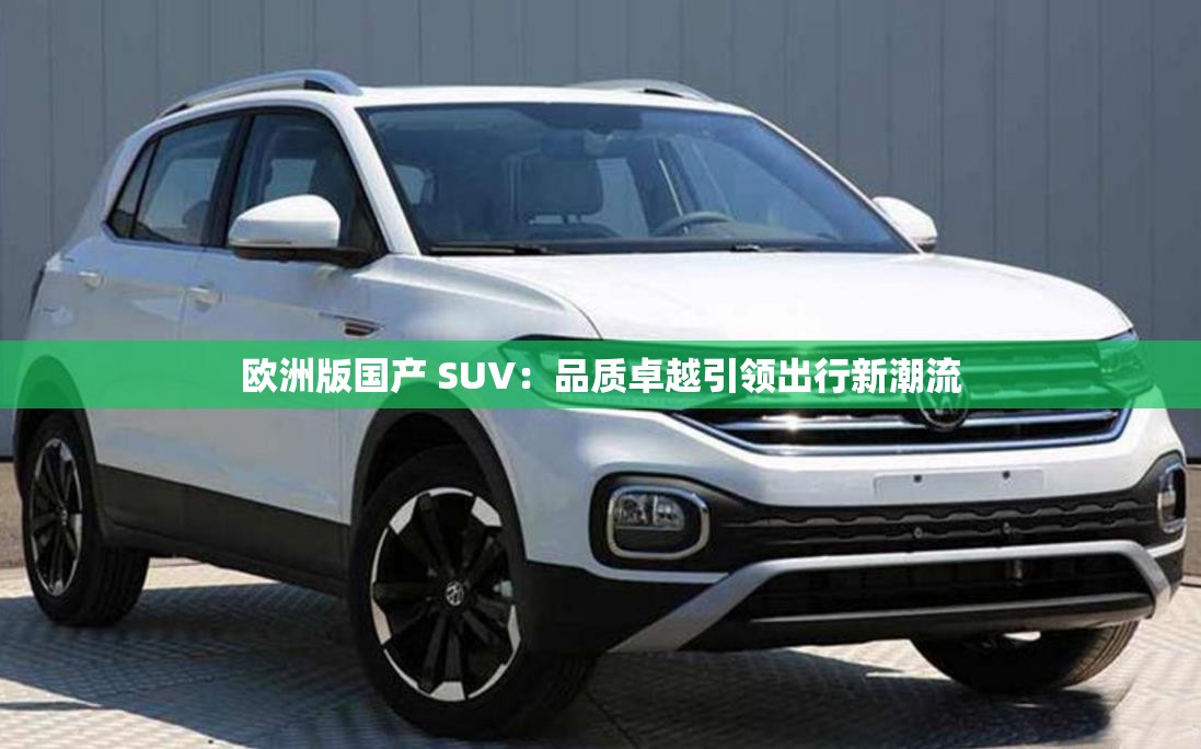 欧洲版国产 SUV：品质卓越引领出行新潮流