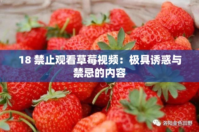 18 禁止观看草莓视频：极具诱惑与禁忌的内容