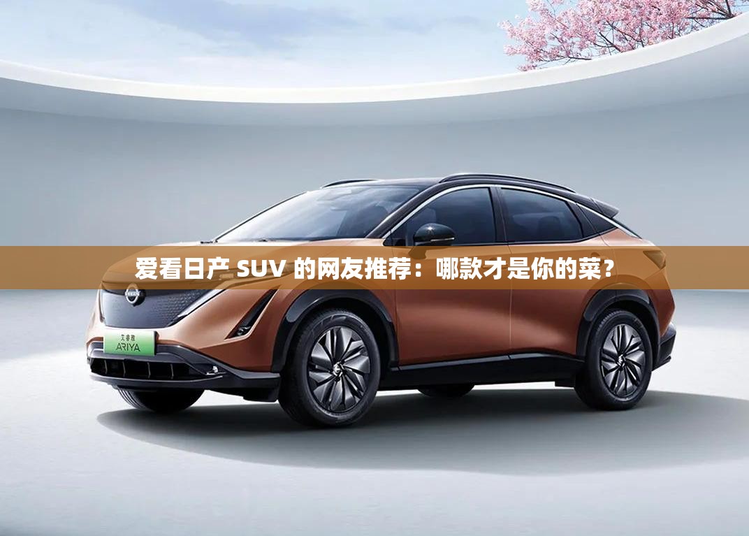 爱看日产 SUV 的网友推荐：哪款才是你的菜？