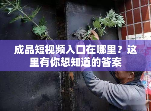 成品短视频入口在哪里？这里有你想知道的答案