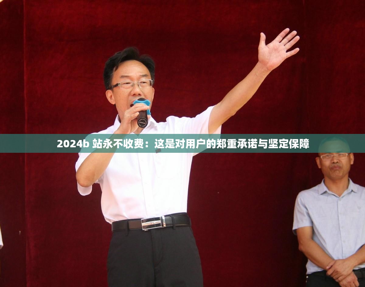 2024b 站永不收费：这是对用户的郑重承诺与坚定保障