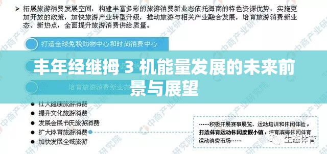 丰年经继拇 3 机能量发展的未来前景与展望