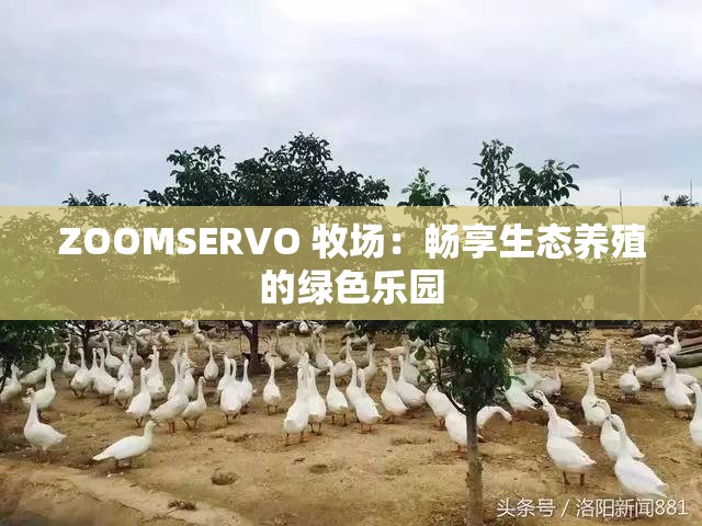 ZOOMSERVO 牧场：畅享生态养殖的绿色乐园