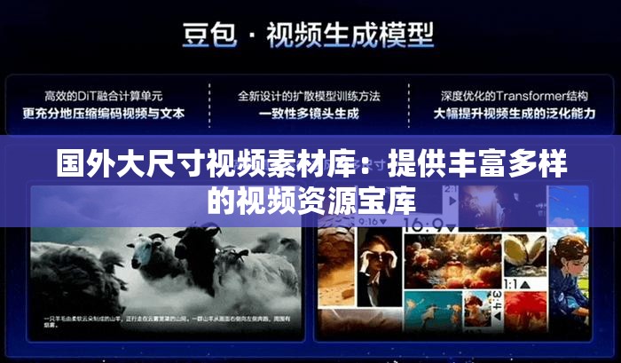 国外大尺寸视频素材库：提供丰富多样的视频资源宝库