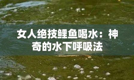 女人绝技鲤鱼喝水：神奇的水下呼吸法