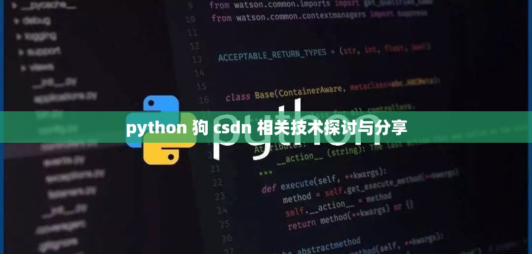 python 狗 csdn 相关技术探讨与分享