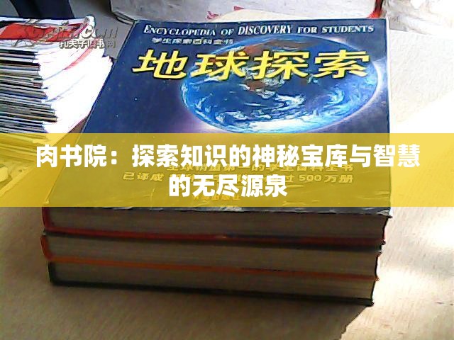 肉书院：探索知识的神秘宝库与智慧的无尽源泉