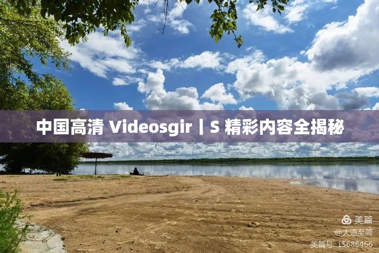 中国高清 Videosgir丨S 精彩内容全揭秘